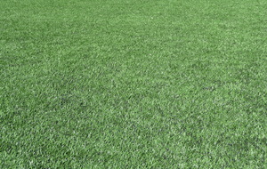 Cross national de l'Erdre - 2025